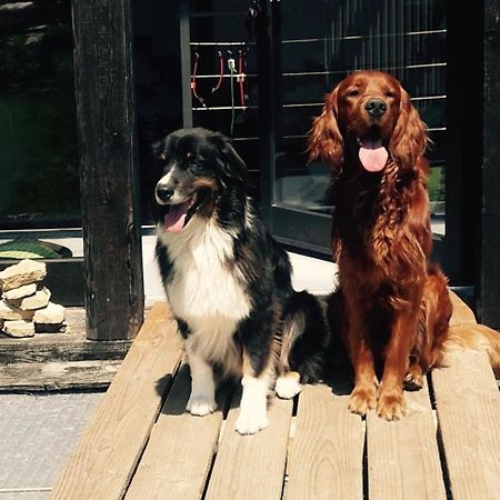 Ferienhaus Scheunenrefugio Rot am See Esterno foto